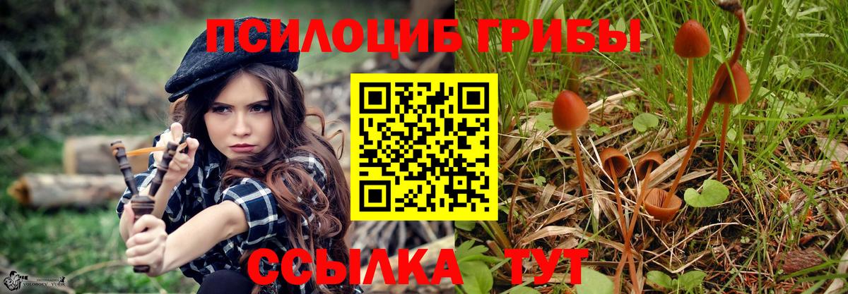 Псилоцибиновые грибы мицелий Домодедово
